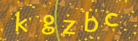 Visual Confirmation Code